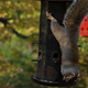 Image for article titled Sony A7r and A7 First Impressions: Full-Frame Power, Palm-Sized Camera